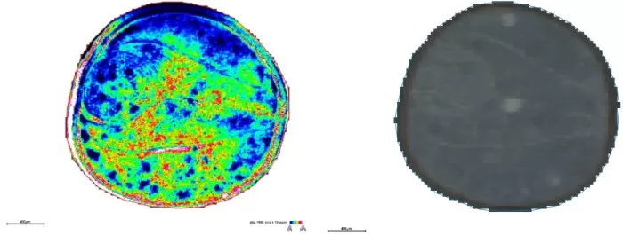 Spatial distribution and segmentation maps at 10μm